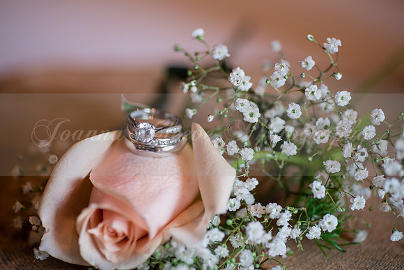 Katherine & Scott-623