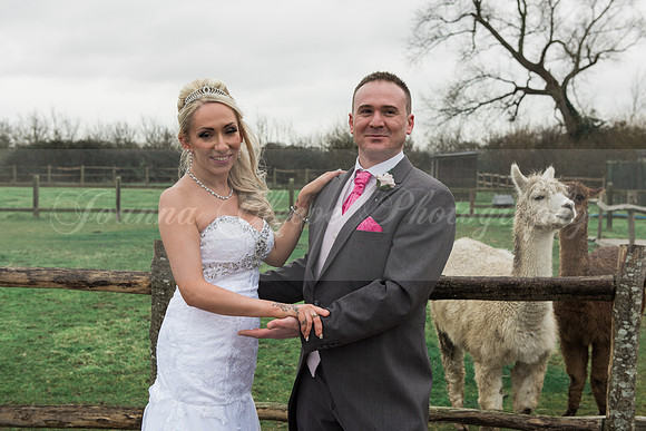Clare and Chris's Wedding - 13.02.2016-320