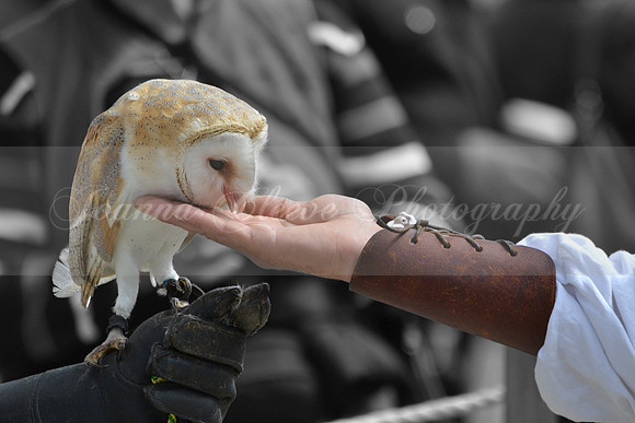 DSC_0201