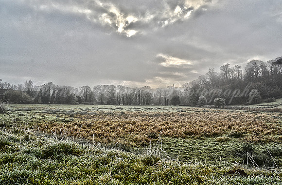 HDRCowdray4