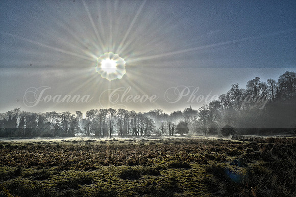 HDRCowdray1