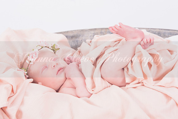 Charlotte Moran - Newborn-24