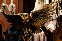 Harry Potter Studio Tour London 14.01.2015-16