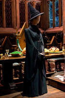 Harry Potter Studio Tour London 14.01.2015-13