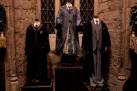 Harry Potter Studio Tour London 14.01.2015-8