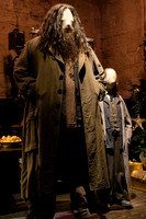 Harry Potter Studio Tour London 14.01.2015-14