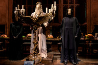 Harry Potter Studio Tour London 14.01.2015-20