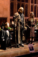 Harry Potter Studio Tour London 14.01.2015-11
